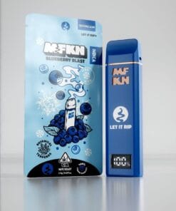 MFKN Disposable 2G Blueberry Blast premium 2G disposable vape device with blueberry flavor and sleek portable design